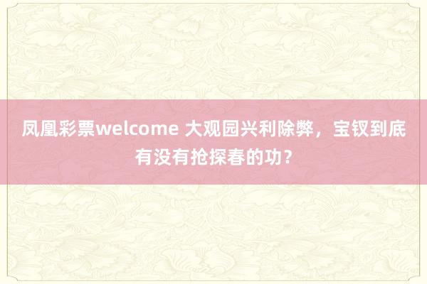 凤凰彩票welcome 大观园兴利除弊，宝钗到底有没有抢探春的功？