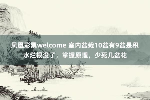 凤凰彩票welcome 室内盆栽10盆有9盆是积水烂根没了，掌握原理，少死几盆花