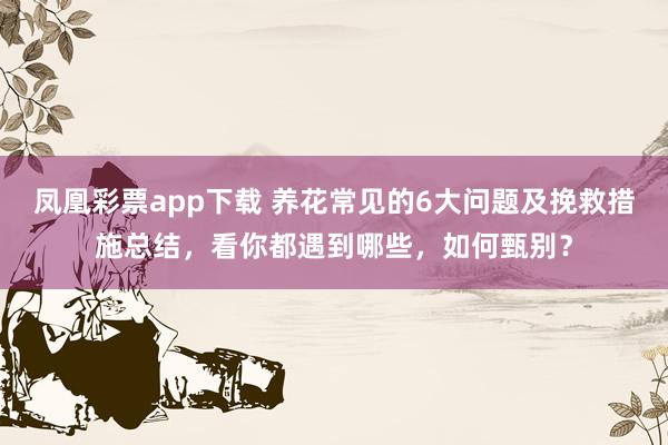 凤凰彩票app下载 养花常见的6大问题及挽救措施总结,看你都遇到哪些,如何甄别?