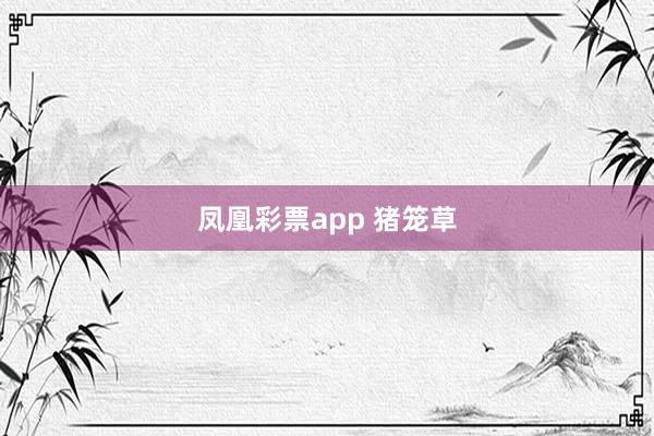 凤凰彩票app 猪笼草