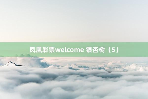 凤凰彩票welcome 银杏树（5）