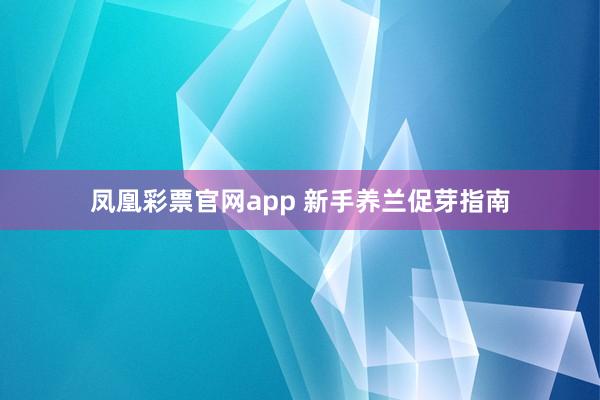 凤凰彩票官网app 新手养兰促芽指南