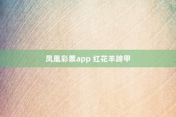 凤凰彩票app 红花羊蹄甲