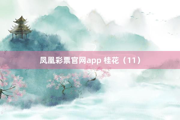 凤凰彩票官网app 桂花（11）