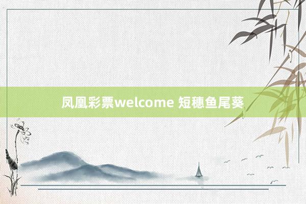 凤凰彩票welcome 短穗鱼尾葵
