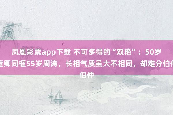 凤凰彩票app下载 不可多得的“双艳”：50岁董卿同框55岁周涛，长相气质虽大不相同，却难分伯仲