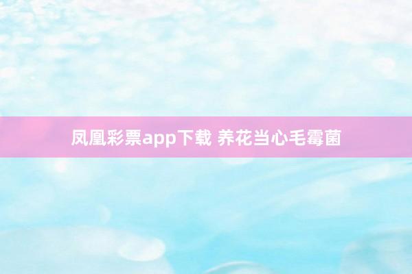 凤凰彩票app下载 养花当心毛霉菌