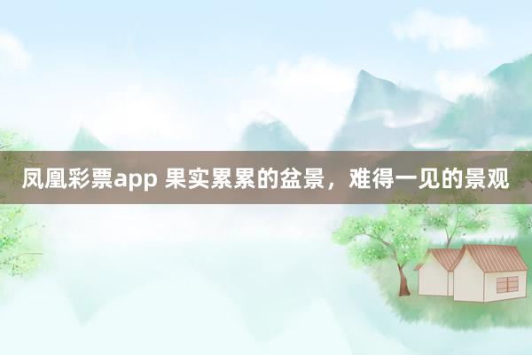 凤凰彩票app 果实累累的盆景，难得一见的景观