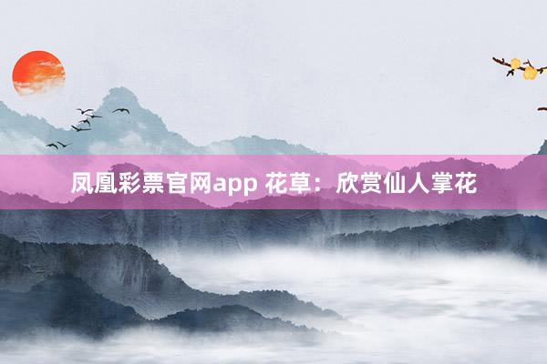凤凰彩票官网app 花草：欣赏仙人掌花