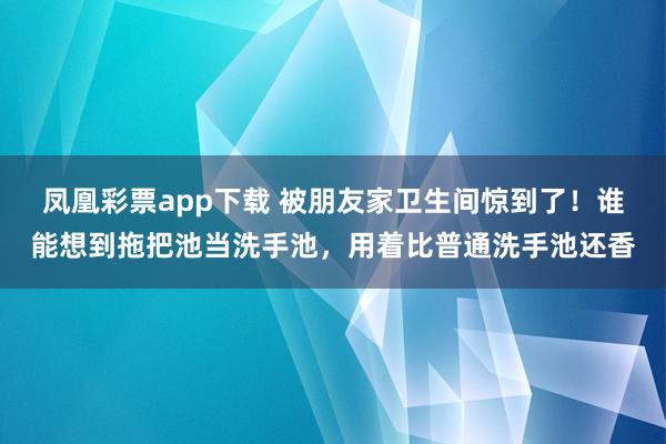 凤凰彩票app下载 被朋友家卫生间惊到了！谁能想到拖把池当洗手池，用着比普通洗手池还香