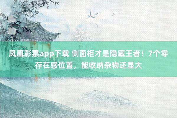 凤凰彩票app下载 侧面柜才是隐藏王者！7个零存在感位置，能收纳杂物还显大