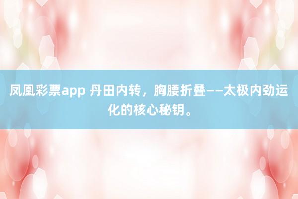 凤凰彩票app 丹田内转，胸腰折叠——太极内劲运化的核心秘钥。