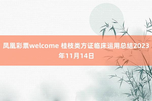 凤凰彩票welcome 桂枝类方证临床运用总结2023年11月14日