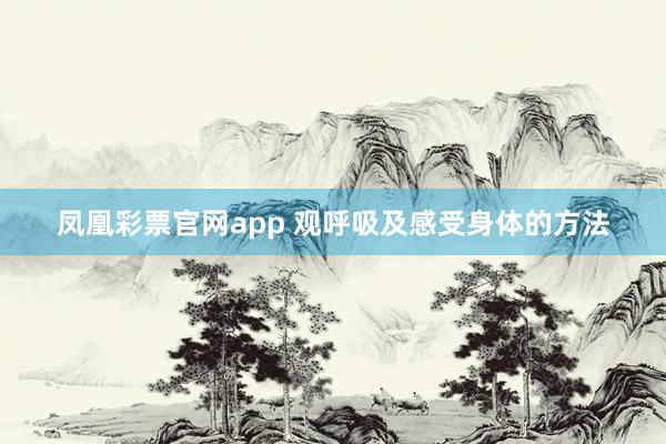 凤凰彩票官网app 观呼吸及感受身体的方法