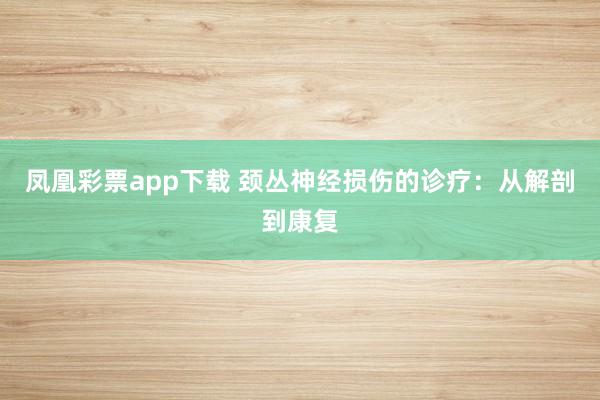 凤凰彩票app下载 颈丛神经损伤的诊疗：从解剖到康复