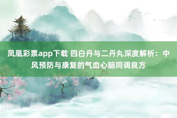 凤凰彩票app下载 四白丹与二丹丸深度解析：中风预防与康复的气血心脑同调良方