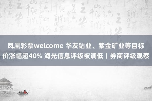 凤凰彩票welcome 华友钴业、紫金矿业等目标价涨幅超40% 海光信息评级被调低丨券商评级观察
