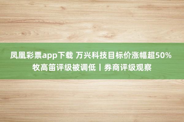 凤凰彩票app下载 万兴科技目标价涨幅超50% 牧高笛评级被调低丨券商评级观察