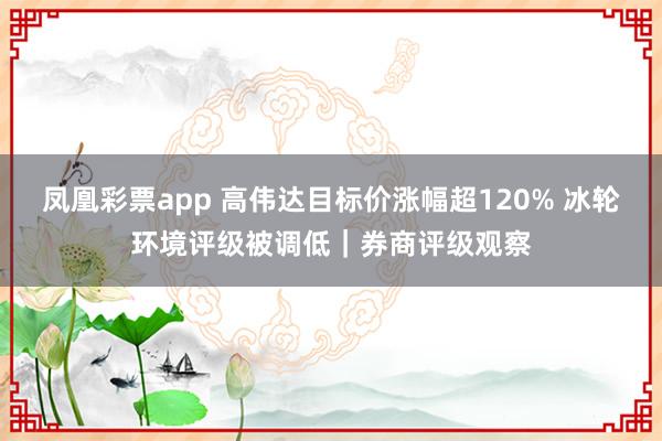 凤凰彩票app 高伟达目标价涨幅超120% 冰轮环境评级被调低｜券商评级观察