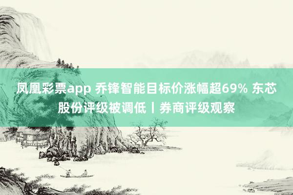 凤凰彩票app 乔锋智能目标价涨幅超69% 东芯股份评级被调低丨券商评级观察