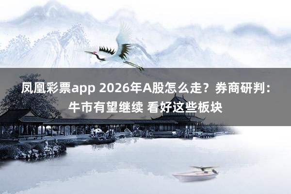 凤凰彩票app 2026年A股怎么走？券商研判：牛市有望继续 看好这些板块