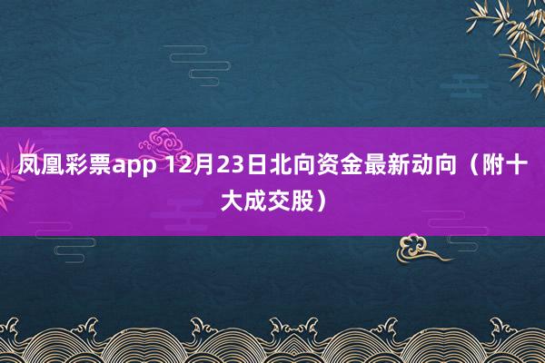 凤凰彩票app 12月23日北向资金最新动向（附十大成交股）