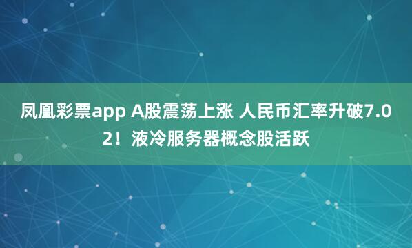 凤凰彩票app A股震荡上涨 人民币汇率升破7.02！液冷服务器概念股活跃