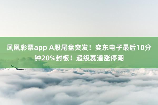 凤凰彩票app A股尾盘突发！奕东电子最后10分钟20%封板！超级赛道涨停潮