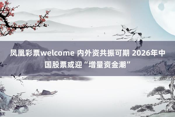 凤凰彩票welcome 内外资共振可期 2026年中国股票或迎“增量资金潮”