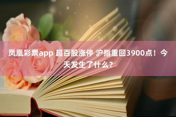 凤凰彩票app 超百股涨停 沪指重回3900点！今天发生了什么？