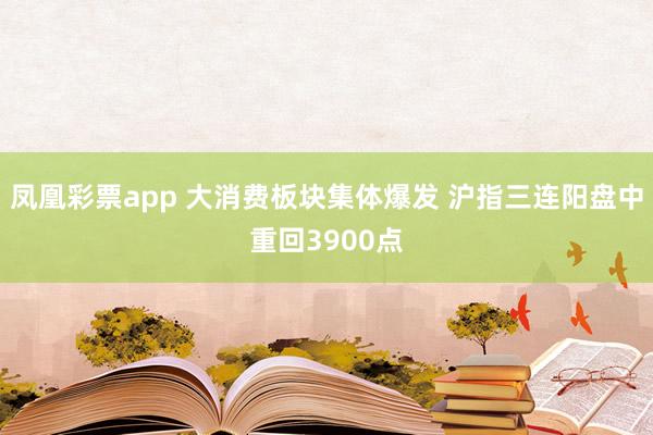 凤凰彩票app 大消费板块集体爆发 沪指三连阳盘中重回3900点