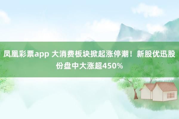 凤凰彩票app 大消费板块掀起涨停潮！新股优迅股份盘中大涨超450%