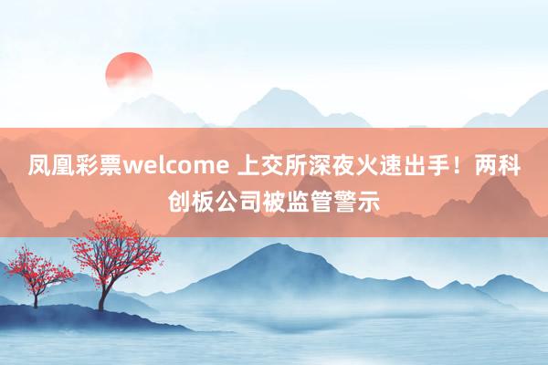 凤凰彩票welcome 上交所深夜火速出手！两科创板公司被监管警示