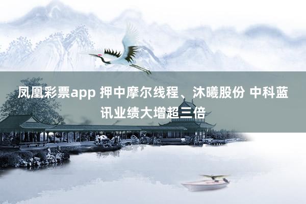 凤凰彩票app 押中摩尔线程、沐曦股份 中科蓝讯业绩大增超三倍