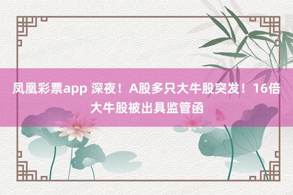 凤凰彩票app 深夜！A股多只大牛股突发！16倍大牛股被出具监管函