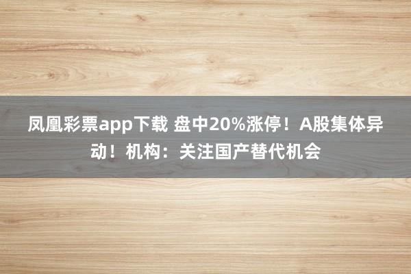 凤凰彩票app下载 盘中20%涨停！A股集体异动！机构：关注国产替代机会