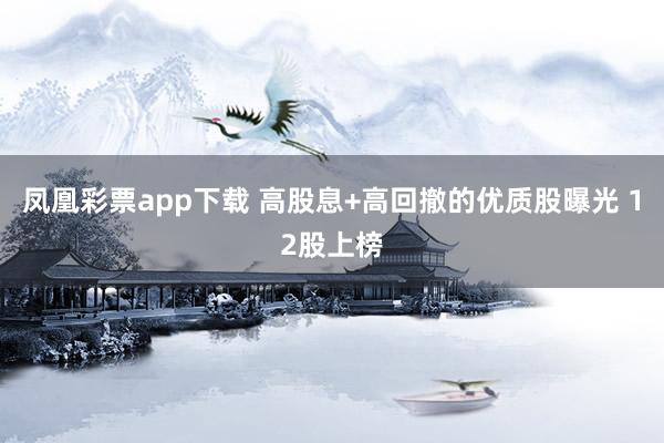 凤凰彩票app下载 高股息+高回撤的优质股曝光 12股上榜
