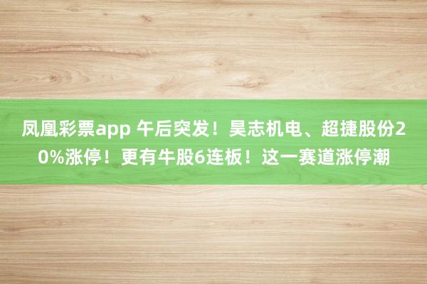凤凰彩票app 午后突发！昊志机电、超捷股份20%涨停！更有牛股6连板！这一赛道涨停潮