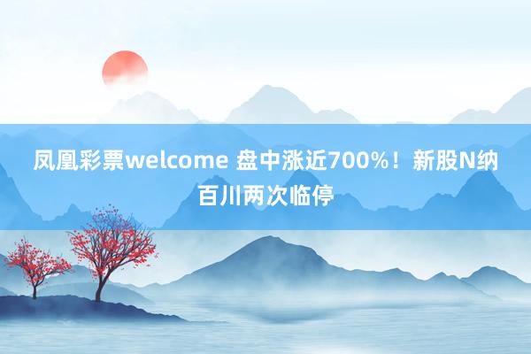 凤凰彩票welcome 盘中涨近700%！新股N纳百川两次临停