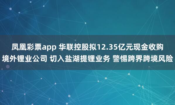 凤凰彩票app 华联控股拟12.35亿元现金收购境外锂业公司 切入盐湖提锂业务 警惕跨界跨境风险