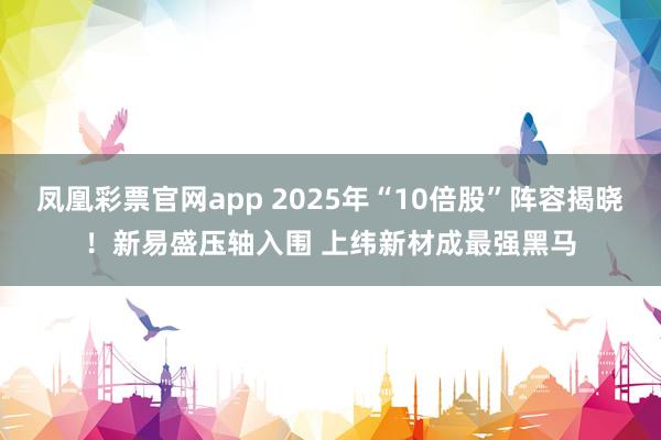凤凰彩票官网app 2025年“10倍股”阵容揭晓！新易盛压轴入围 上纬新材成最强黑马