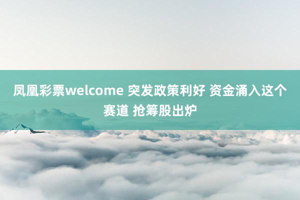 凤凰彩票welcome 突发政策利好 资金涌入这个赛道 抢筹股出炉