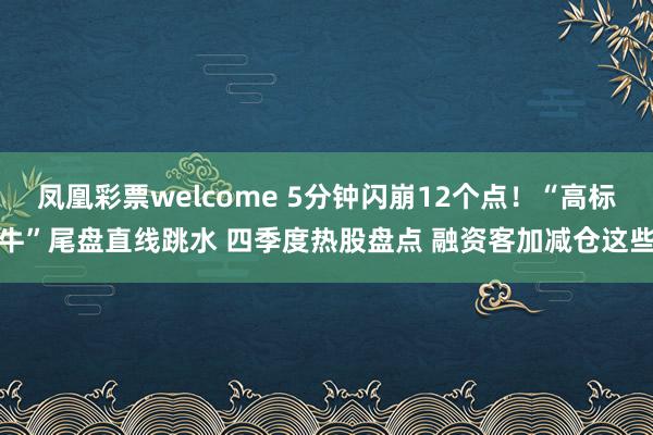 凤凰彩票welcome 5分钟闪崩12个点！“高标牛”尾盘直线跳水 四季度热股盘点 融资客加减仓这些