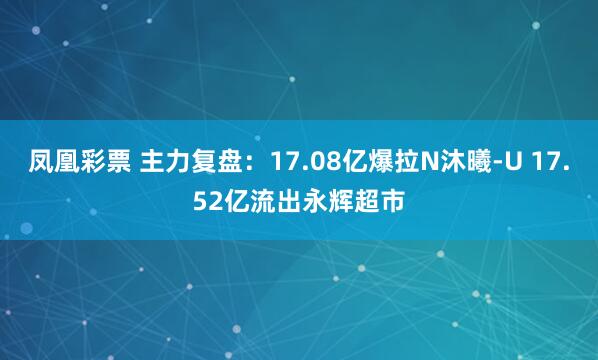 凤凰彩票 主力复盘：17.08亿爆拉N沐曦-U 17.52亿流出永辉超市