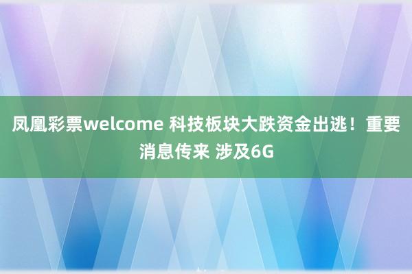 凤凰彩票welcome 科技板块大跌资金出逃！重要消息传来 涉及6G