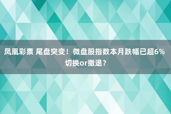 凤凰彩票 尾盘突变！微盘股指数本月跌幅已超6% 切换or撤退？
