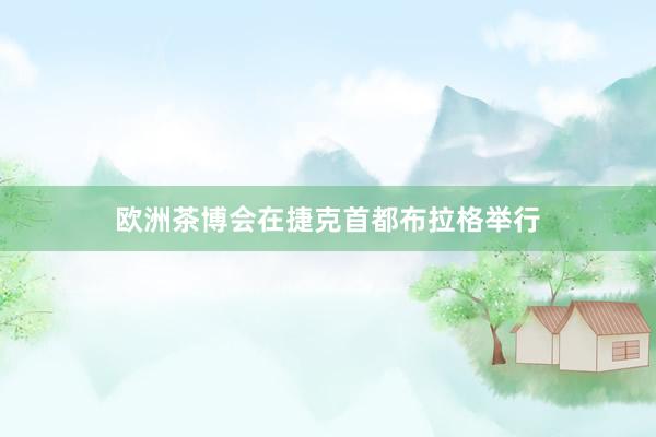 欧洲茶博会在捷克首都布拉格举行