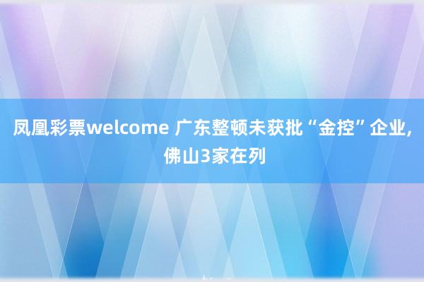 凤凰彩票welcome 广东整顿未获批“金控”企业, 佛山3家在列
