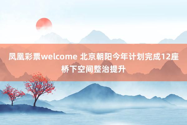 凤凰彩票welcome 北京朝阳今年计划完成12座桥下空间整治提升