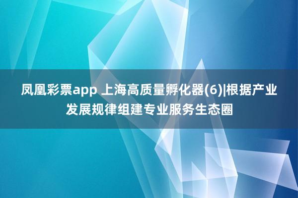 凤凰彩票app 上海高质量孵化器(6)|根据产业发展规律组建专业服务生态圈